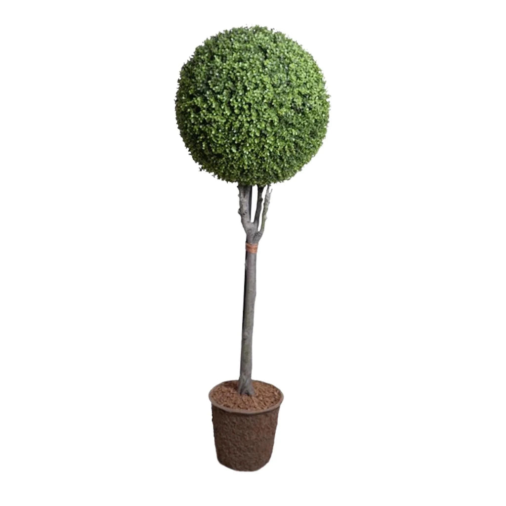 22" Faux Boxwood Ball Topiary - Florals & Greenery - The Well Appointed House
