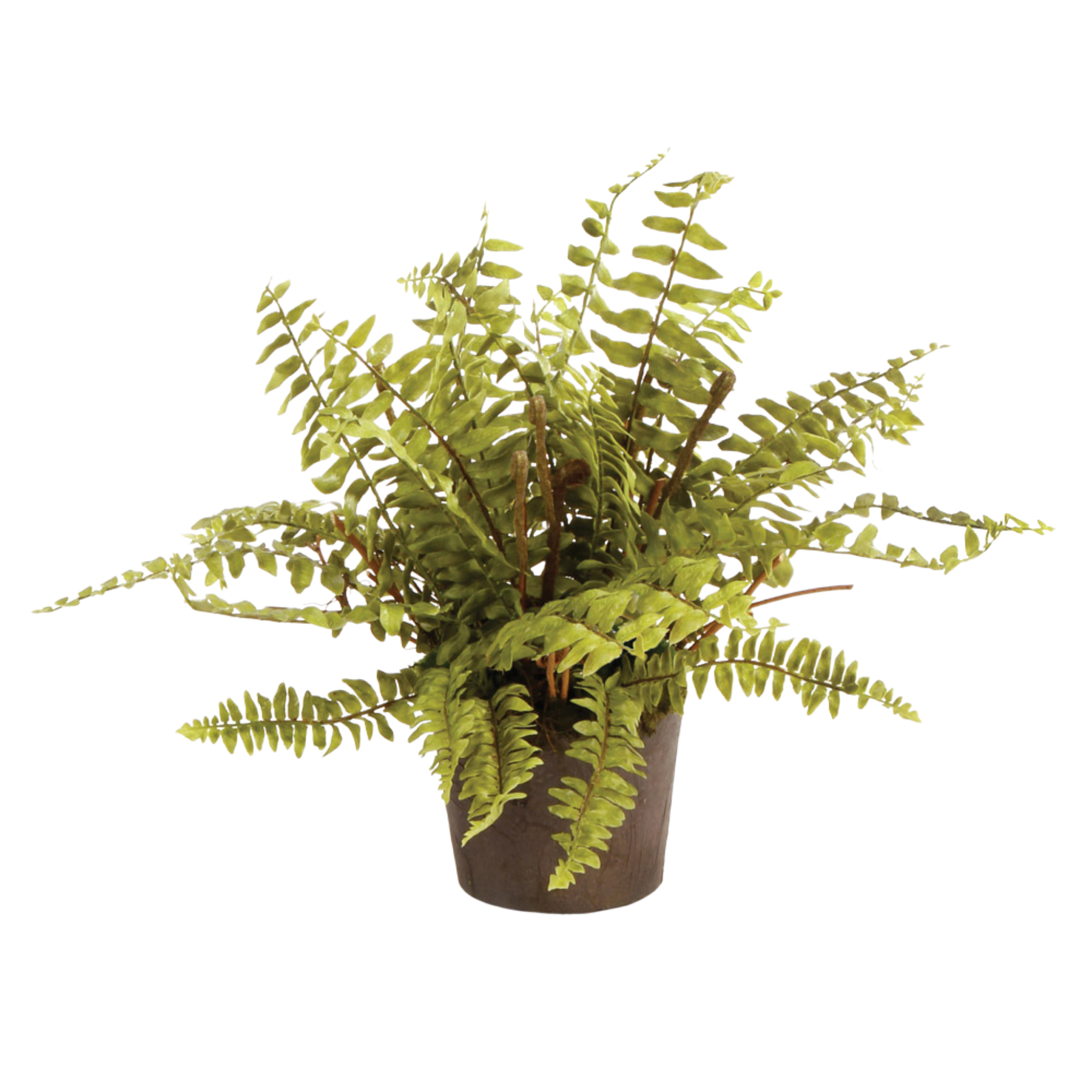 faux hanging fern plant Boston Fern Drop-In 12"