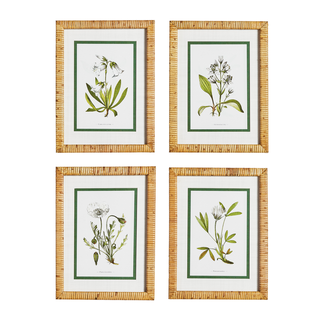 Set of Four Framed White Floral Study Prints Wall Art - The Well Apponted House