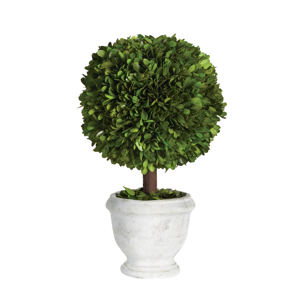 Single 9" Sphere Boxwood Topiary - The Well Appointed House