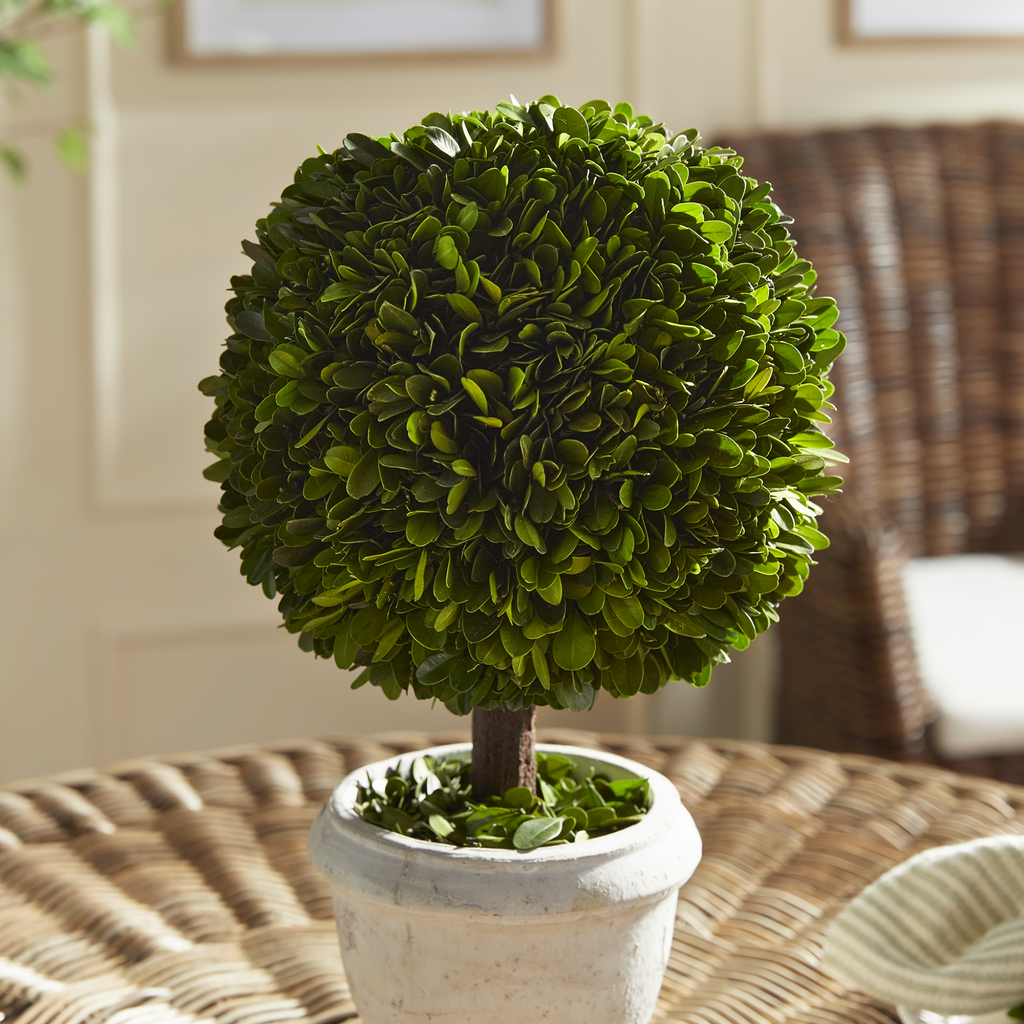 Single 9" Sphere Boxwood Topiary - The Well Appointed House