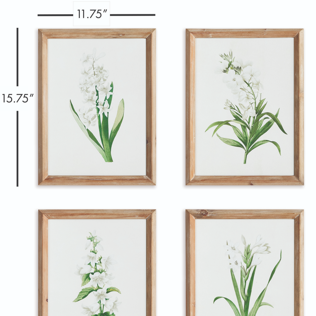 Set of Four Framed Garden Blooms Wall Art - The Well Apoointed House