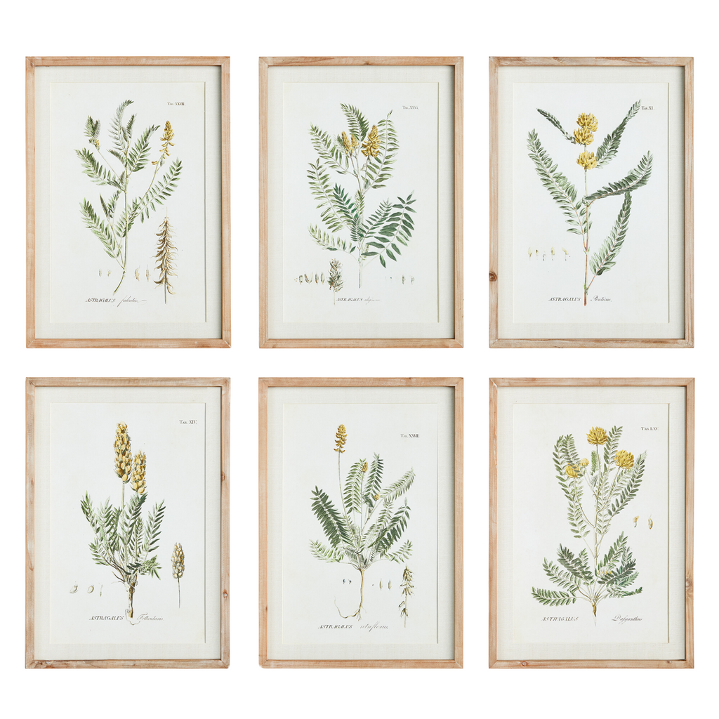 Set of Six Framed Mid-Summer Blooms Prints Wall Art - The Well Appointed House