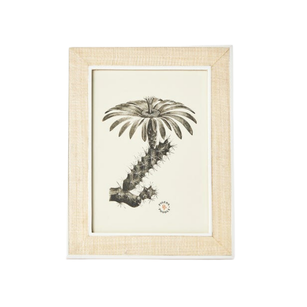 Pigeon & Poodle Aberdeen Abaca Fiber Frame in Three Different Colors - Picture Frames - The Well Appointed House