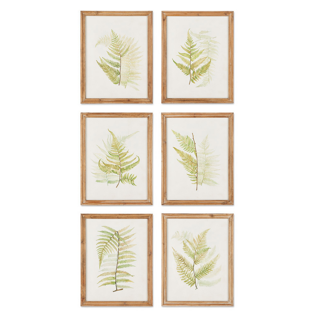 Set of Six Framed Ferns Botanical Wall Art - Paintings - The Well Appointed House