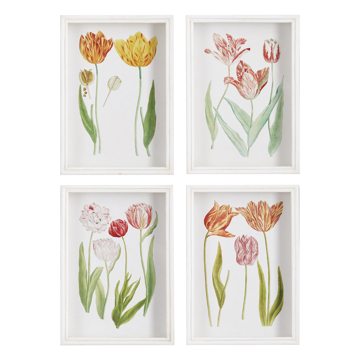 Tulip Prints - Set of 4 – The Well Appointed House