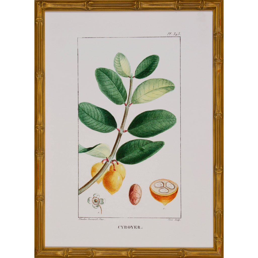 Tropical Botanical V Artwork in Gold Frame - The Well Appointed House