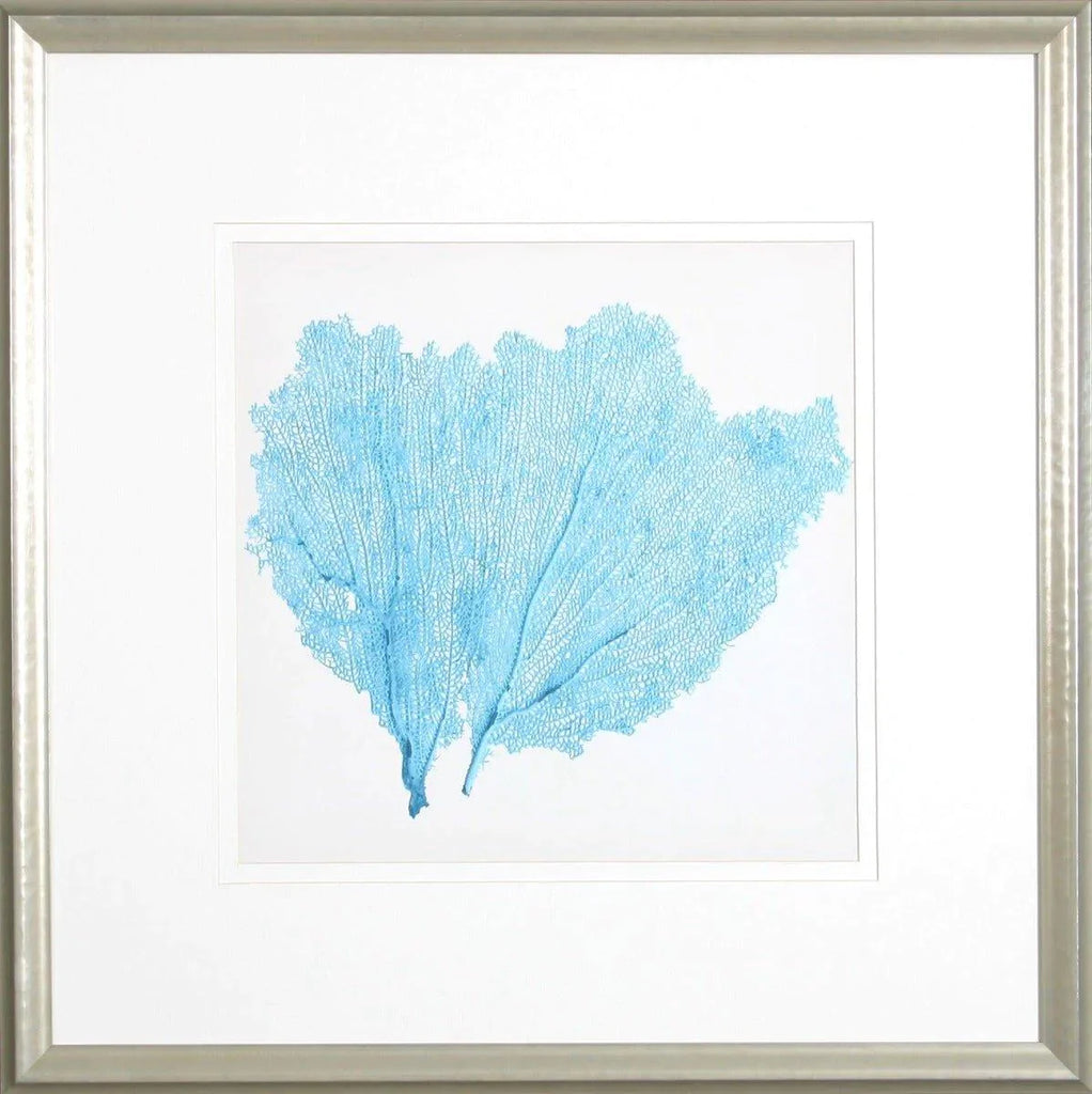 Aqua Sea Fan IV Lithograph Wall Art in Silver Frame - Paintings - The Well Appointed House