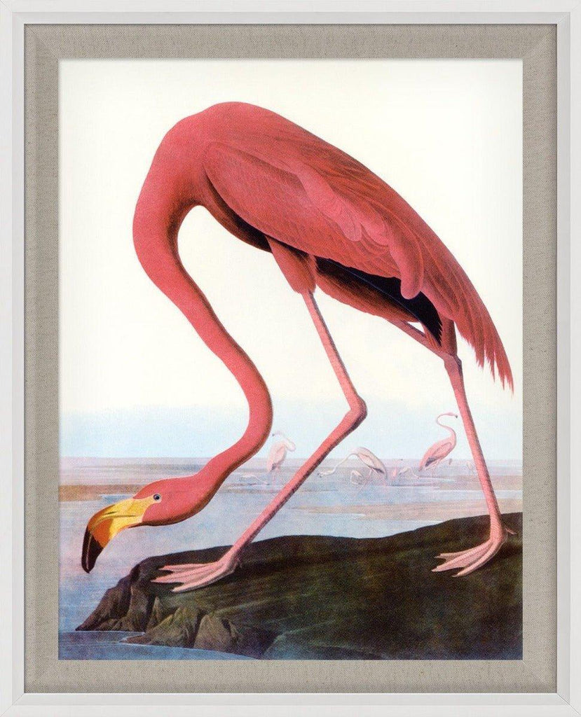 Audubon Pink Flamingo Reproduction Wall Art - Paintings - The Well Appointed House