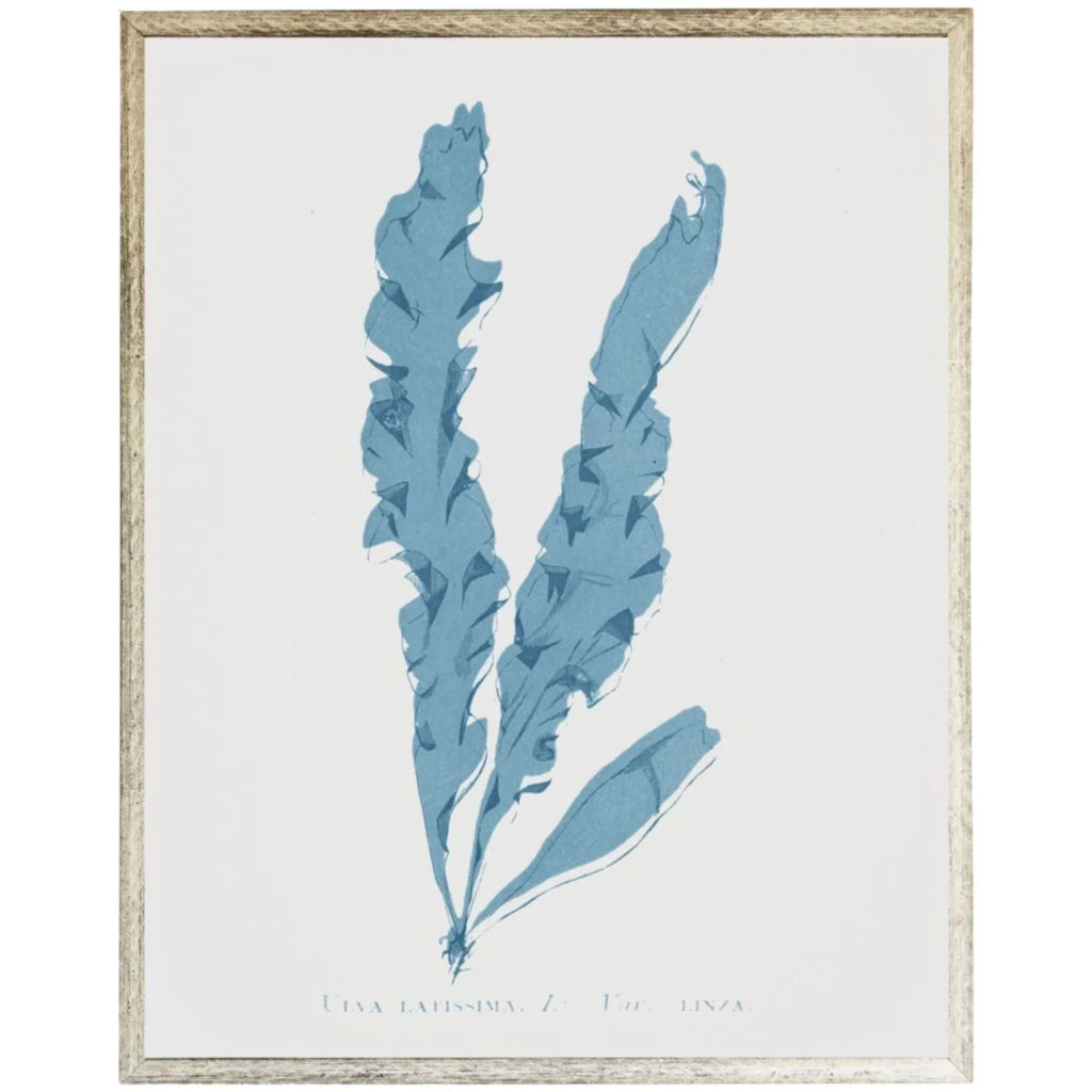 Blue Coral Framed Wall Art 5 - Paintings - The Well Appointed House