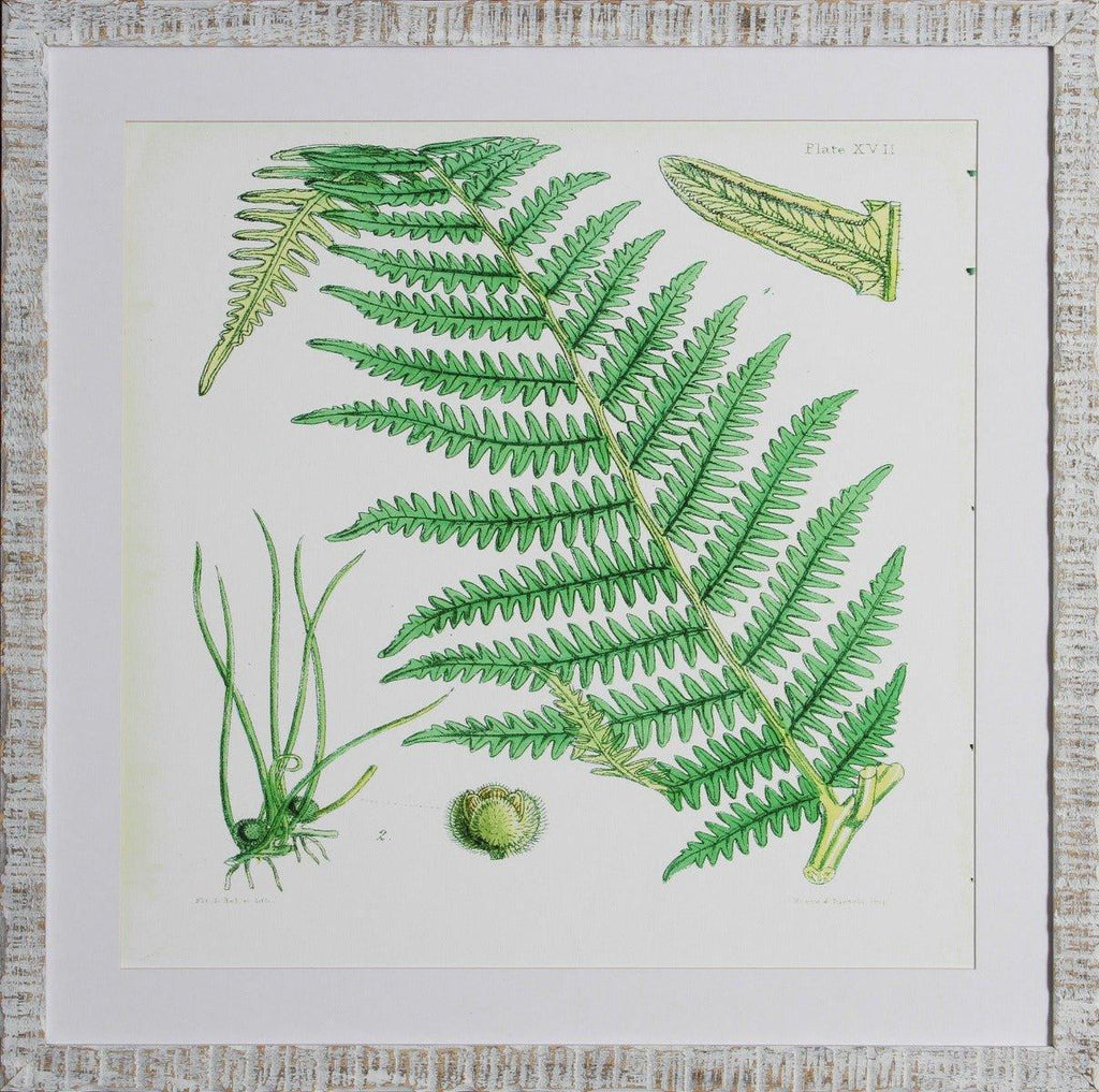 Brilliant Green Fern VI Wall Art - Paintings - The Well Appointed House