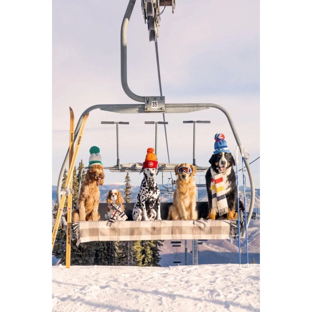Chairlift Pups Vertical Print by Gray Malin - Photography - The Well Appointed House