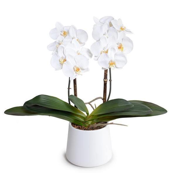 Faux 18" Phalaenopsis Orchids in White Ceramic Bowl - Florals & Greenery - The Well Appointed House
