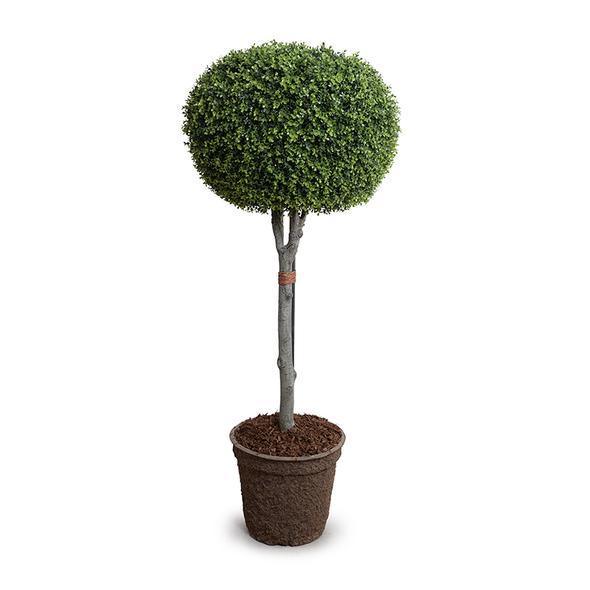 Faux 26" Boxwood Pumpkin-Shaped Topiary - Florals & Greenery - The Well Appointed House