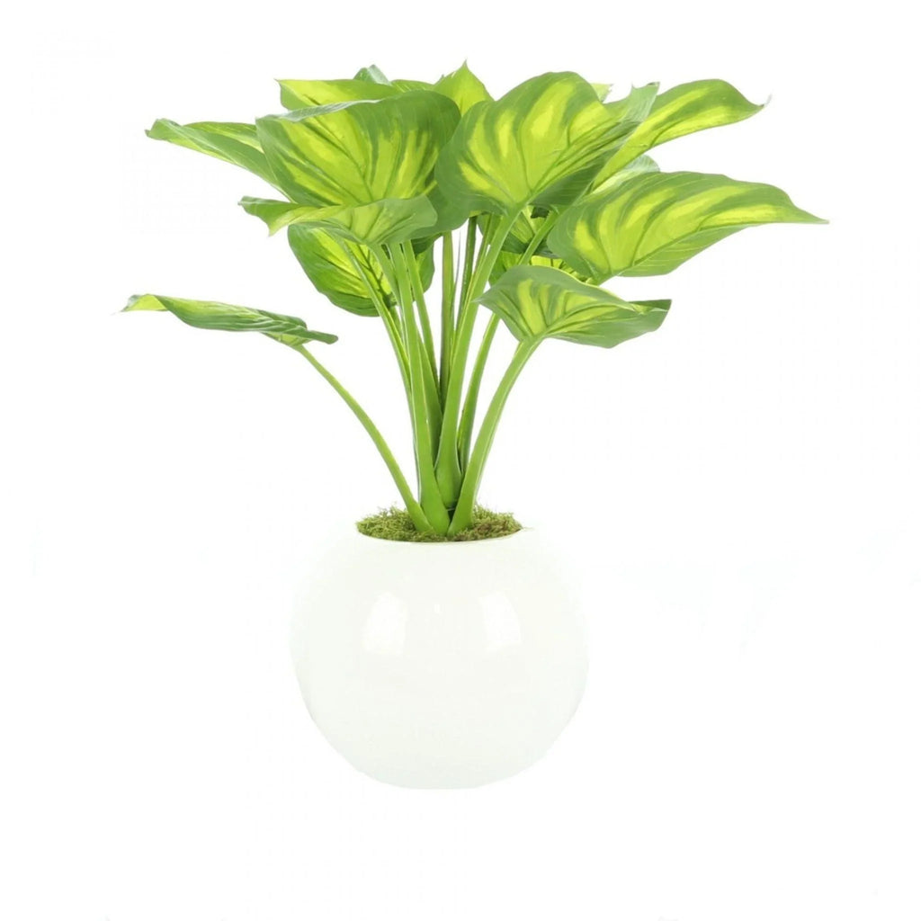 Faux Eva Hosta Plant In White Pot - Florals & Greenery - The Well Appointed House