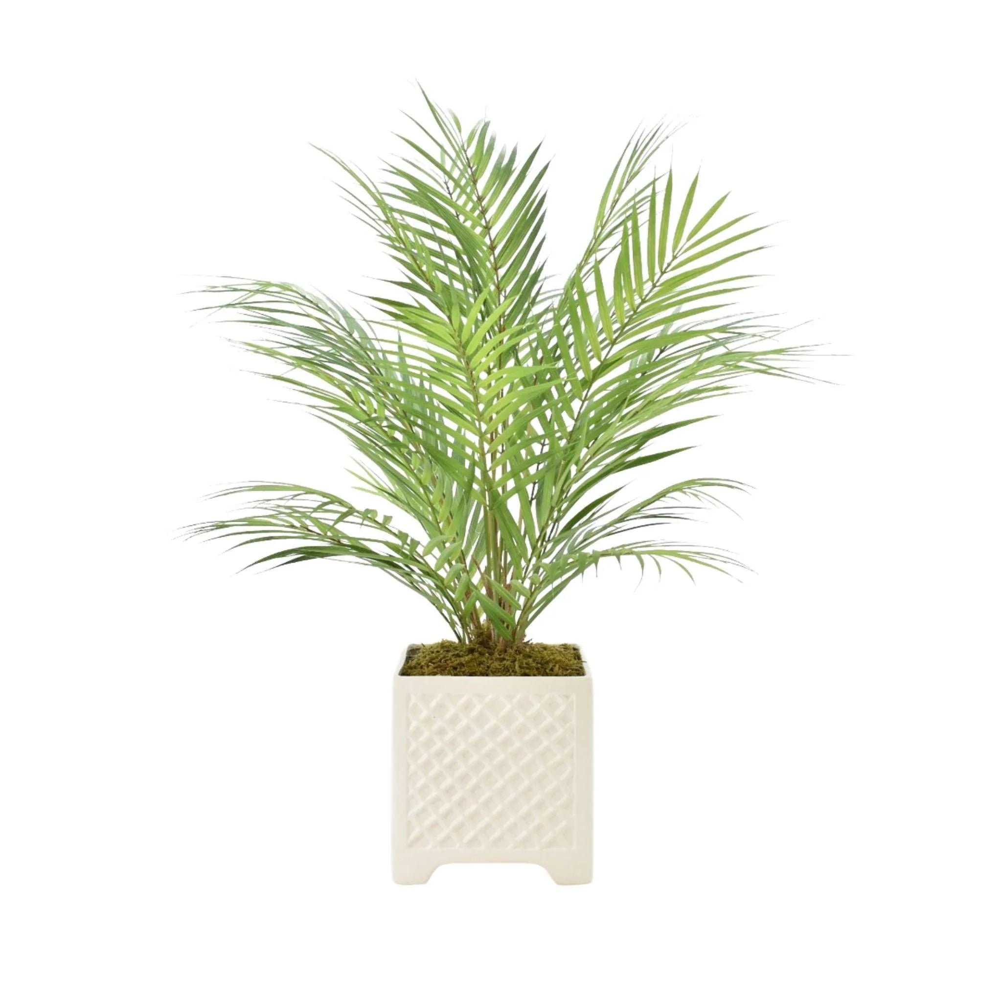 floor palm plant Faux Palm Tree in Ceramic Square Pot – The Well Appointed House