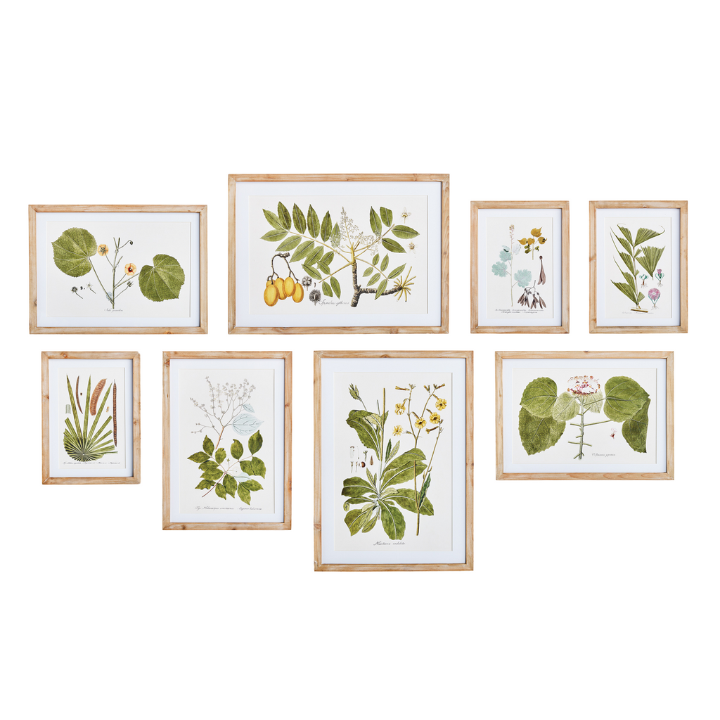Set of Eight Framed Flora & Fauna Gallery Prints Wall Art - The Well Appointed House