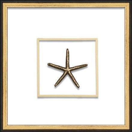 Gold Small Starfish Coastal Beach Wall Art in Black & Gold Frame - Framed Objects, Maps & Posters - The Well Appointed House