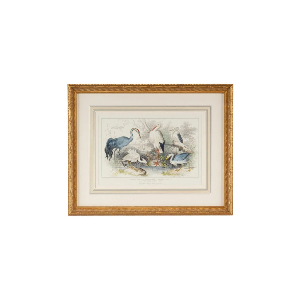 Herons, Eagrets, & Cranes Framed Wall Art - Paintings - The Well Appointed House