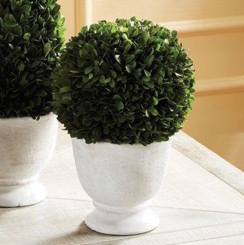 Large Boxwood Ball Topiary in Pot - Florals & Greenery - The Well Appointed House