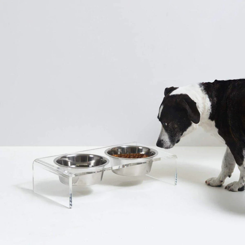 Large Clear Double Dog Bowl Feeder with Silver Bowls - 1 Quart - Pet Accessories - The Well Appointed House