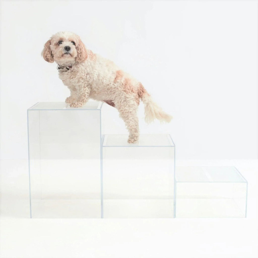 Modular Clear Dog Step Ladder Blocks - Pet Accessories - The Well Appointed House