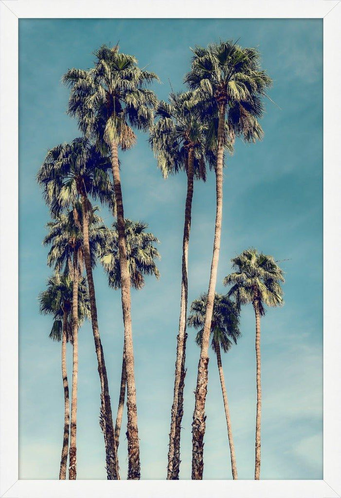 Palms in the Sky Wall Art - Photography - The Well Appointed House