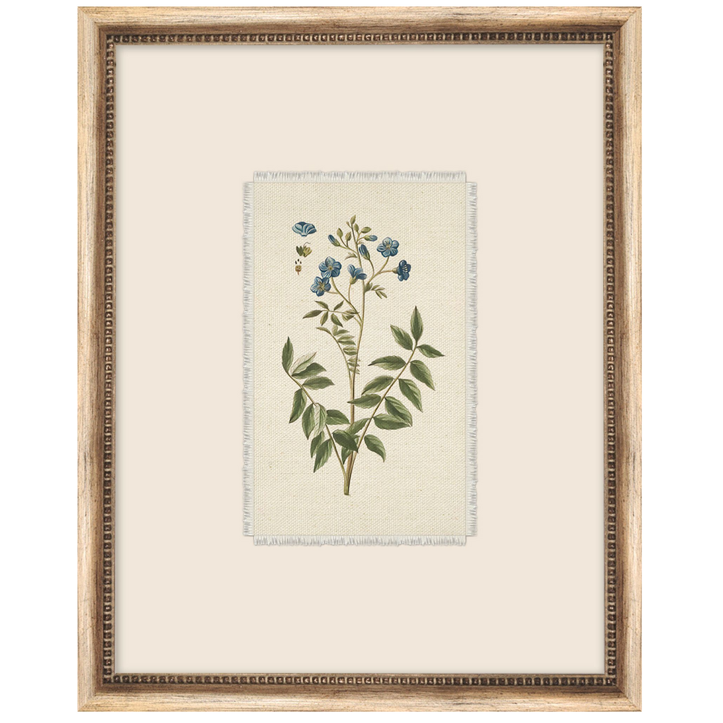 Petite Floral 4 Framed Wall Art - The Well Appointed House