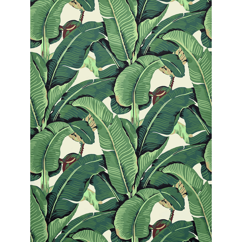 Scalamandre Hinson Green Palm Cotton Print Fabric - Fabric by the Yard - The Well Appointed House