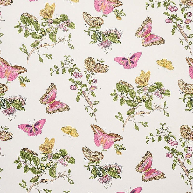 Schumacher Baudin Butterfly Wallpaper in Blush - Wallpaper - The Well Appointed House
