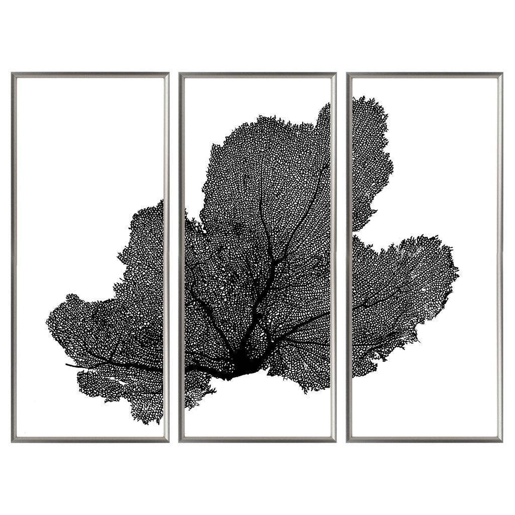 Sea Fan Triptych Coastal Beach Wall Art - Framed Objects, Maps & Posters - The Well Appointed House