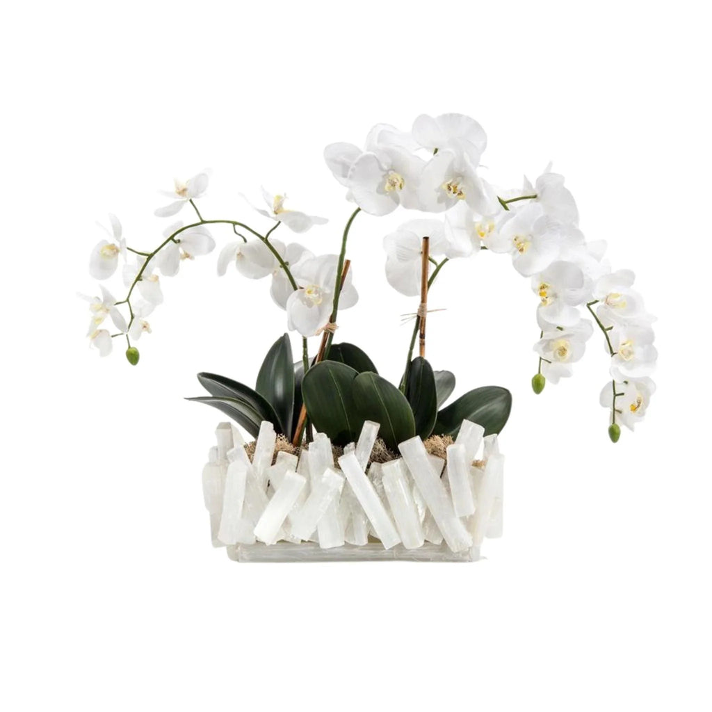 Selenite Crystal Vase with White Orchids - Florals & Greenery - The Well Appointed House
