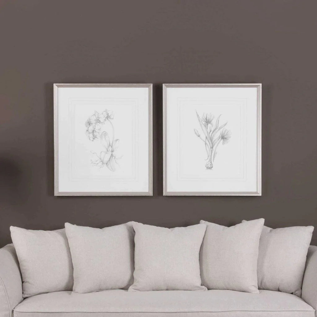 Set of 2 Minimalist Botanical Sketched Prints in Silver Leaf Frame - Paintings - The Well Appointed House