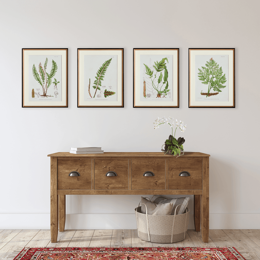 Set of 4 Structural Fern Study Framed Prints - Paintings - The Well Appointed House