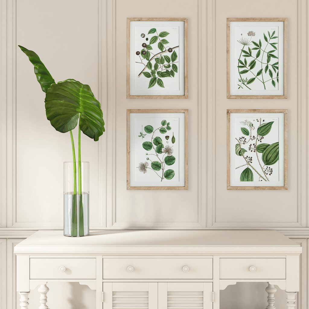 Set of 4 Verdant Branch Framed Prints - Paintings - The Well Appointed House