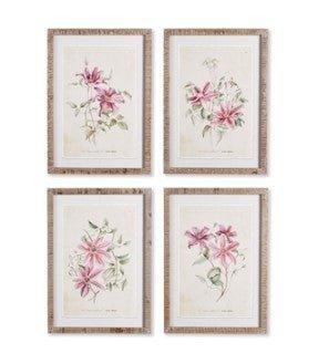 Set of Four Pink Clematis Floral Prints - Paintings - The Well Appointed House