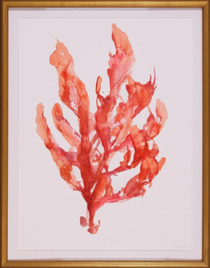 Shades of Red Coral Kelp I Large Wall Art in a Gold Frame - Paintings - The Well Appointed House