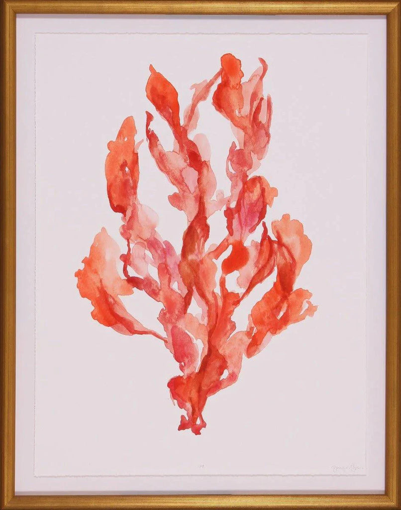 Shades of Red Coral Kelp II Large Wall Art in Gold Frame - Paintings - The Well Appointed House