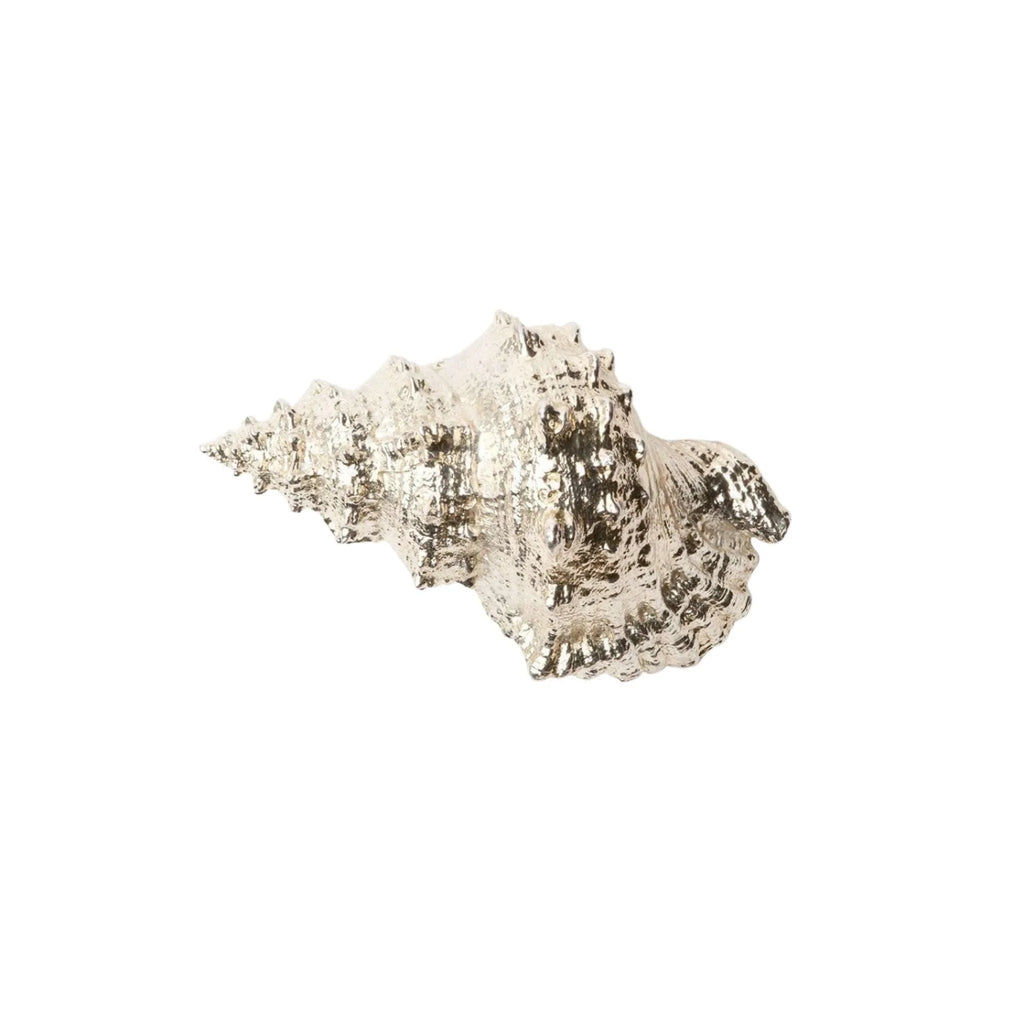 Silver Dipped Decorative Bursa Shells - Decorative Objects - The Well Appointed House