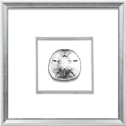 Silver Sand Dollar Coastal Beach Wall Art in White & Silver Frame - Framed Objects, Maps & Posters - The Well Appointed House