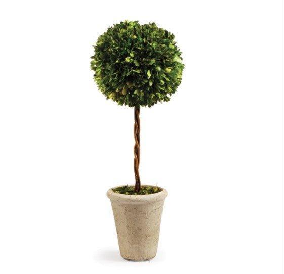 Single Sphere Boxwood Topiary - Florals & Greenery - The Well Appointed House