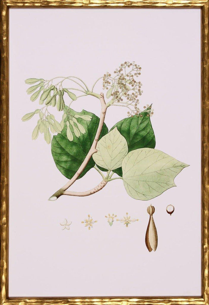 Spring Green Foliage IV Botanical Lithograph Wall Art in Gold Frame - Paintings - The Well Appointed House