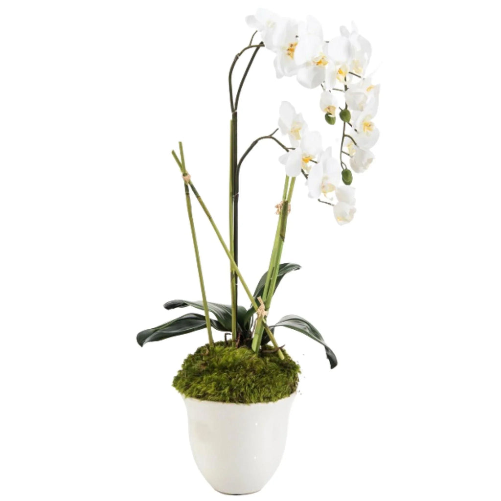 Tall Faux White Orchid In White Glazed Pot - Florals & Greenery - The Well Appointed House