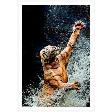 Tiger Jump 1 Wall Art in Shadowbox Frame - Photography - The Well Appointed House