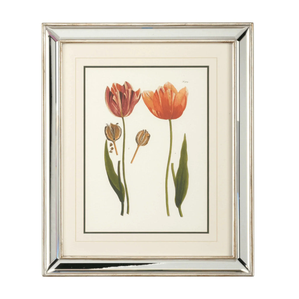 Tulips - D Framed Wall Art - Paintings - The Well Appointed House