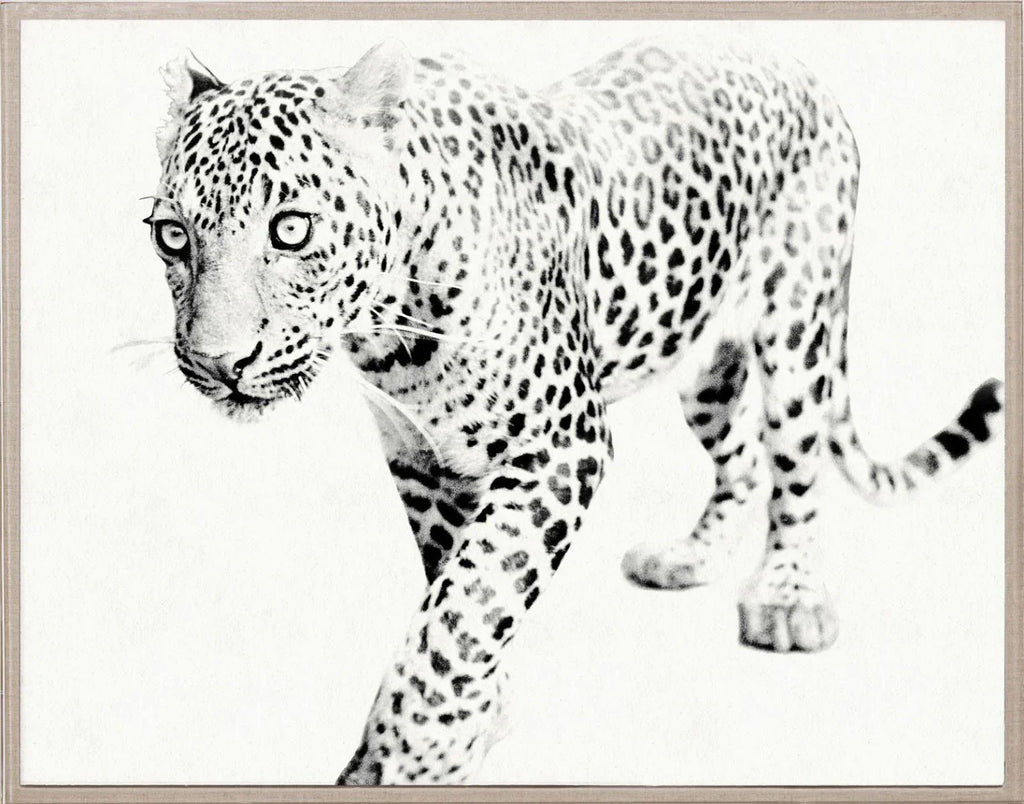 Tylinek Leopard Wall Art - Paintings - The Well Appointed House