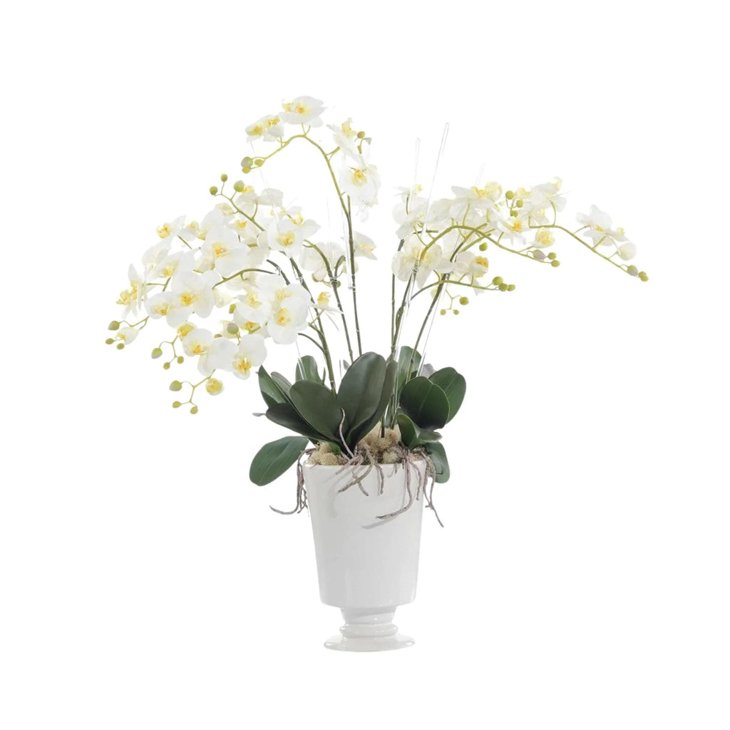White Orchids and Foliage in a White Pedestal Vase - Florals & Greenery - The Well Appointed House