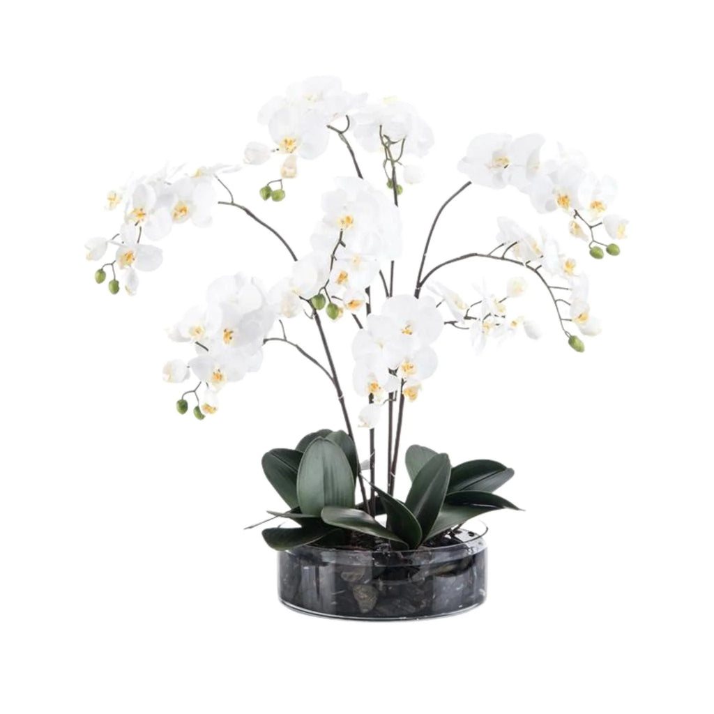 White Orchids in Low-Sided Round Vase with Black River Rock - Florals & Greenery - The Well Appointed House