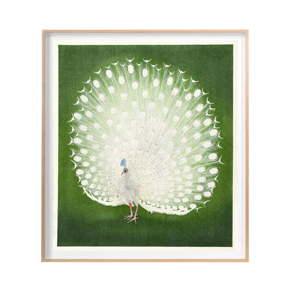 White Peacock on Green Framed Wall Art - Paintings - The Well Appointed House
