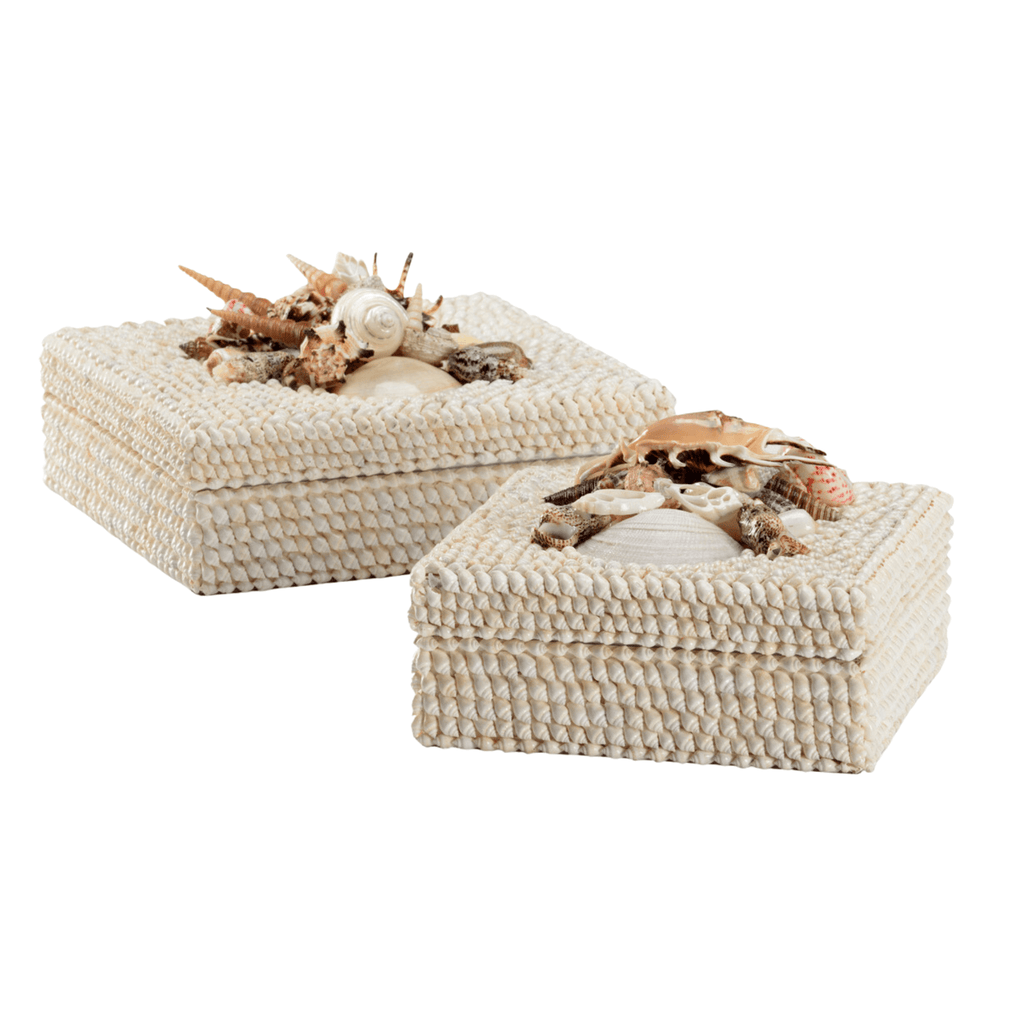 Coastal White Shell Set of Two Decorative Boxes - Decorative Boxes - The Well Appointed House